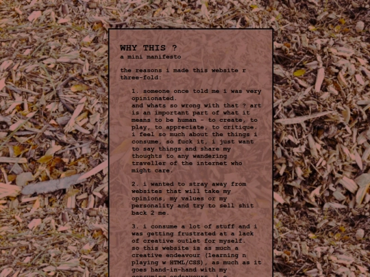 manifesto screenshot