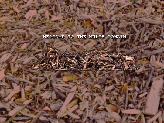 test2 screenshot