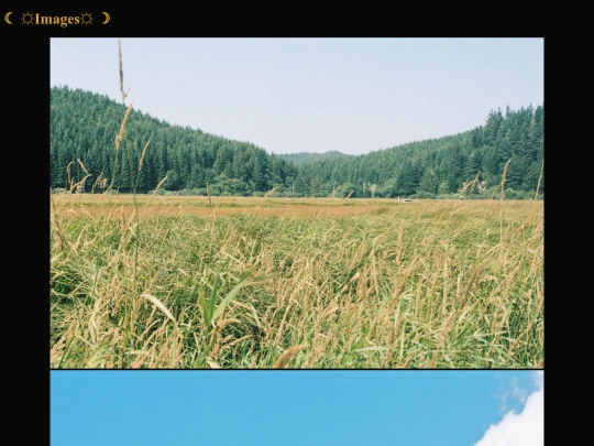 pics screenshot