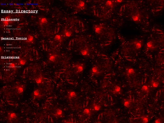 Essays screenshot