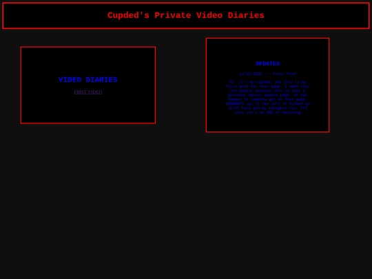 randomplacestogoto/private-video-diaries screenshot