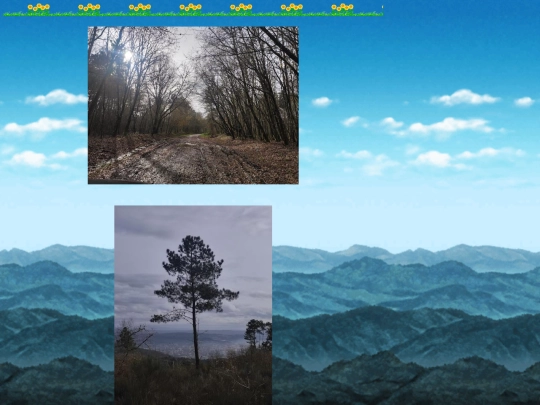 photos/collection3 screenshot