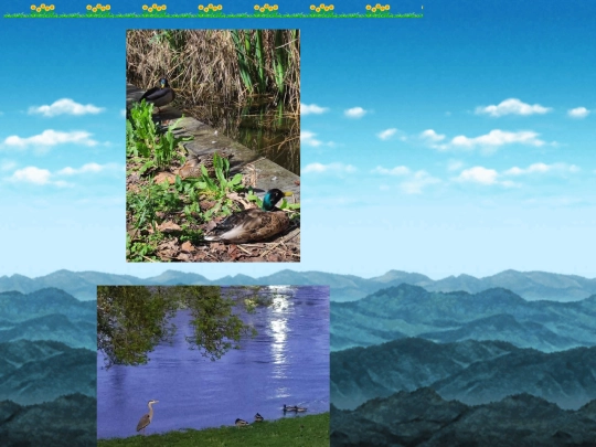 photos/collection4 screenshot