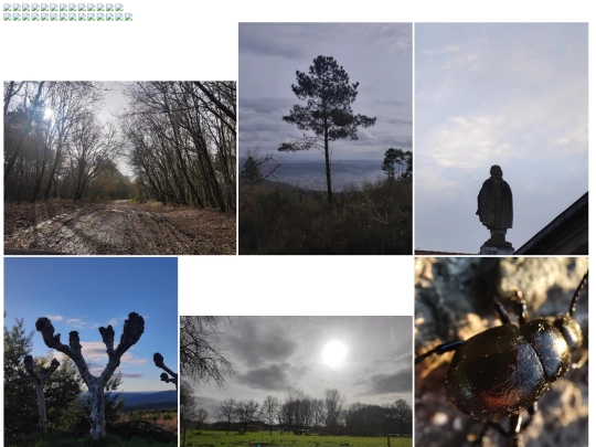 photos/collections screenshot