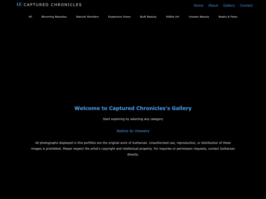 gallery screenshot