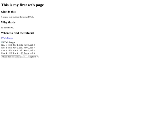 myfirstpage screenshot