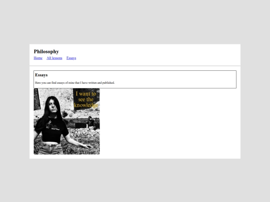 essays screenshot