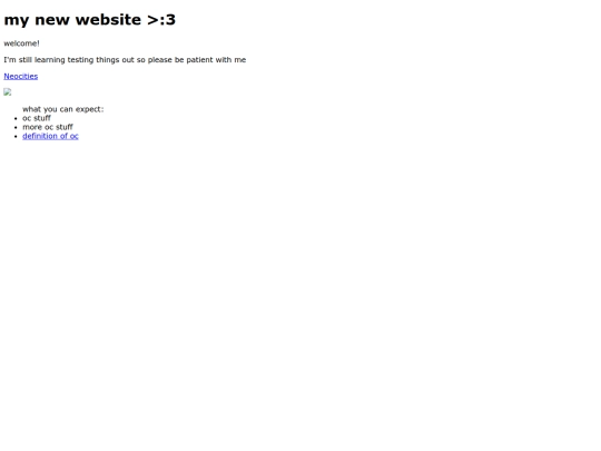 websiteideaNr1 screenshot