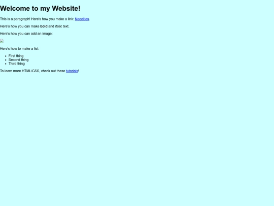 pages/Terms screenshot