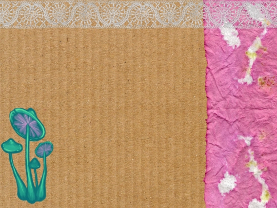 Lace screenshot