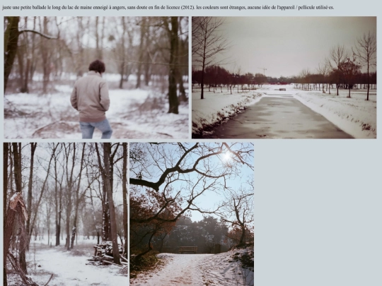 gallery/angers/lac-de-maine screenshot