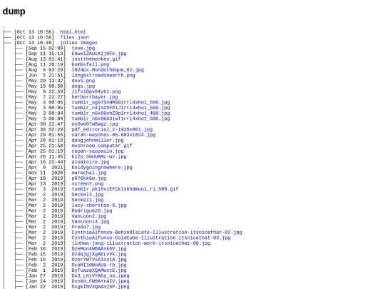 gallery/dump/html screenshot