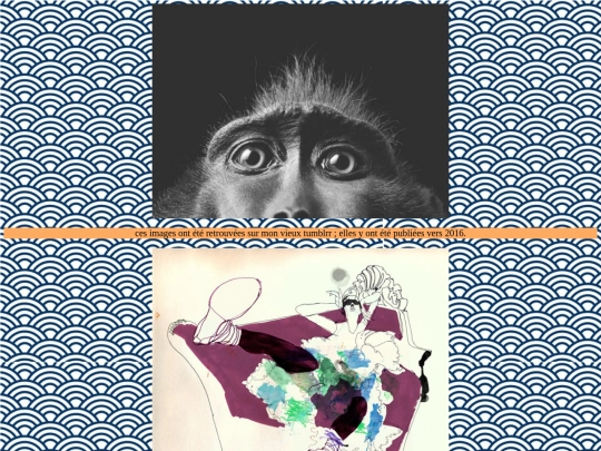 gallery/tumblrr/tumblrrr screenshot