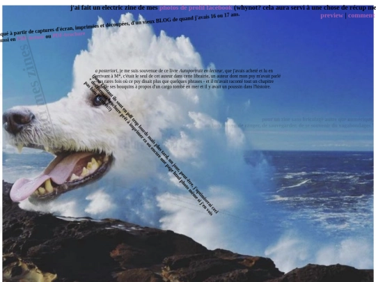 misc/zines screenshot