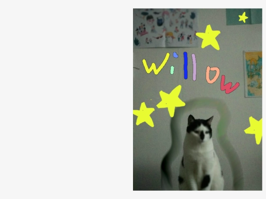 misc/zines/willow/EZM-willow/willow screenshot