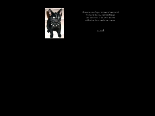 straycat screenshot