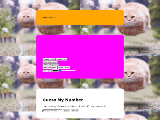 jsInteraction screenshot