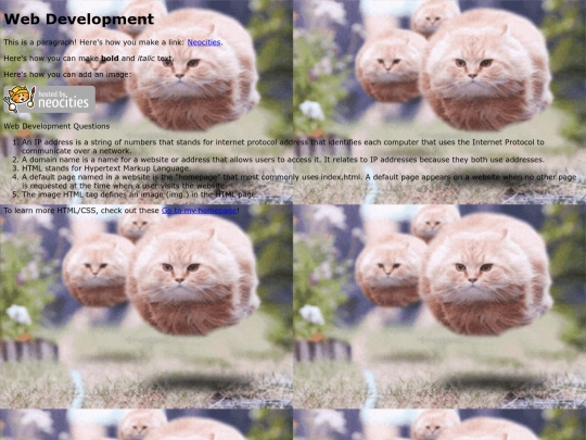 webDev screenshot