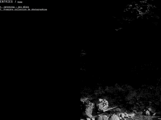 entries screenshot