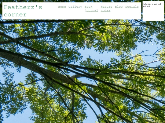 test screenshot