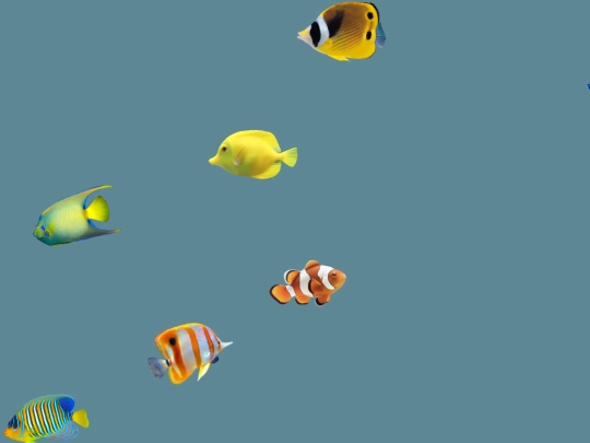 toybox/aquarium screenshot
