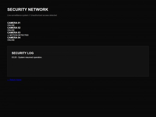 pages/security screenshot