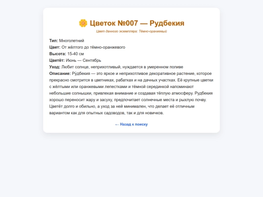 007_rudbekia screenshot