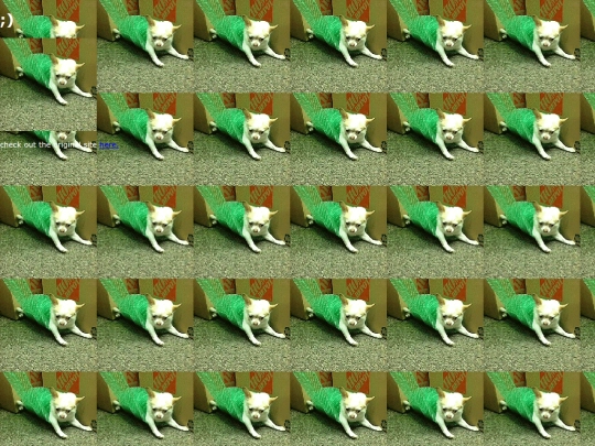 spin screenshot