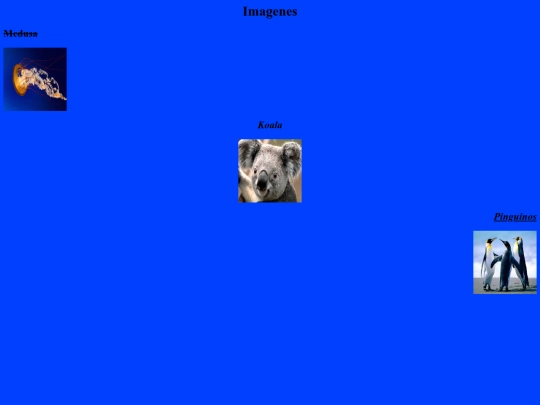 Practica 2 screenshot