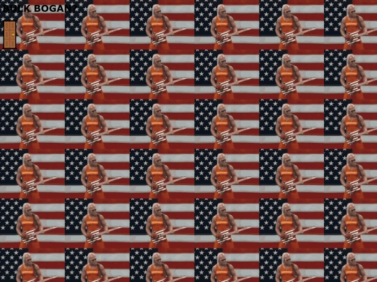 BulkBogan screenshot