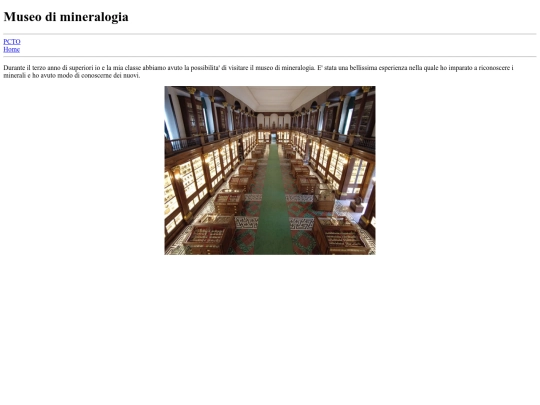 PCTO/mineralogia screenshot