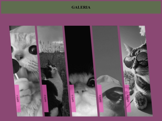 Parcial 2 - FlexBox screenshot
