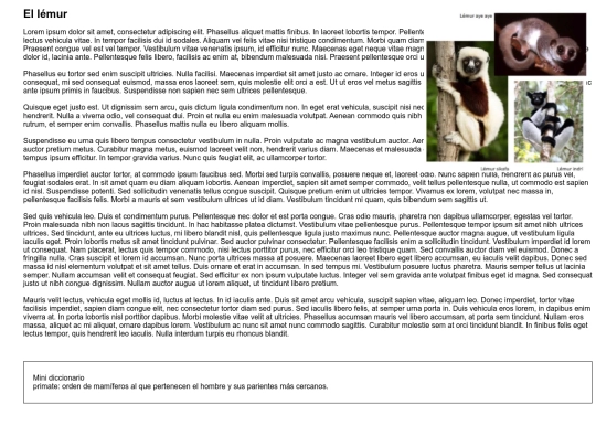 Lemur screenshot