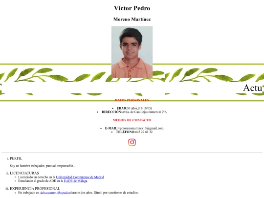 CurrculumVitae screenshot
