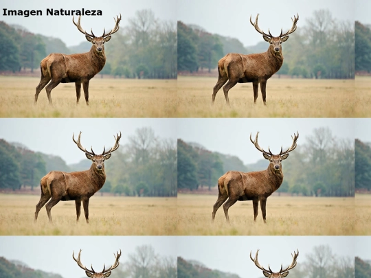 ejemploimagen screenshot