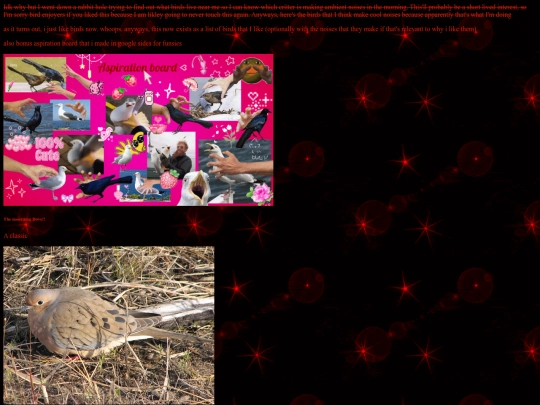 silly things/random ahh interests/fuckingbirds screenshot