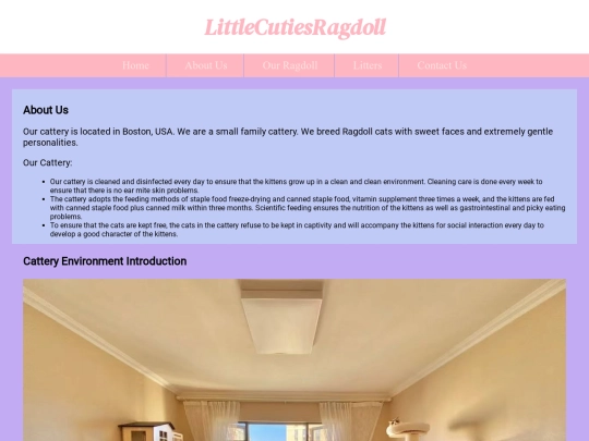 final/AboutUs screenshot