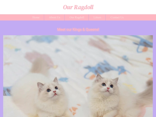 final/OurRagdoll screenshot