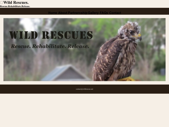 rescue/template screenshot