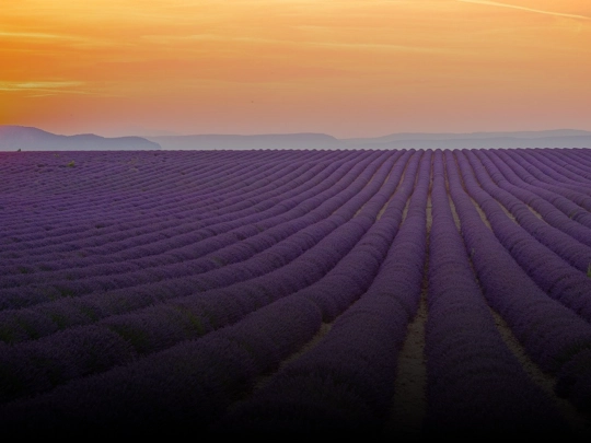 image-gradient screenshot