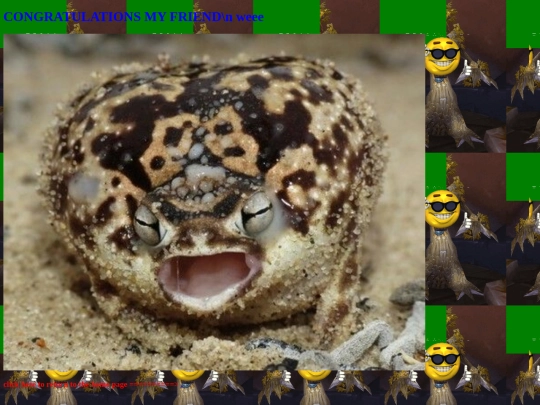 frog screenshot