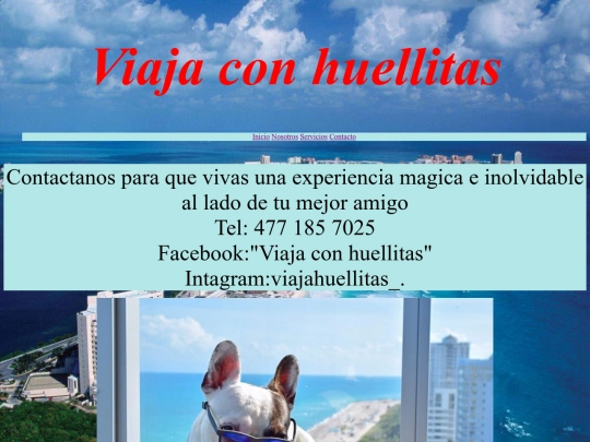 Contacto screenshot