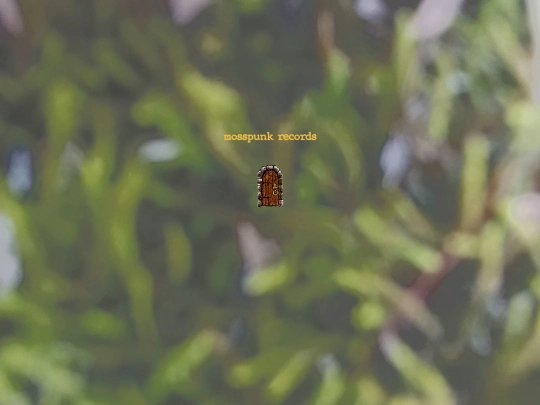 splash screenshot