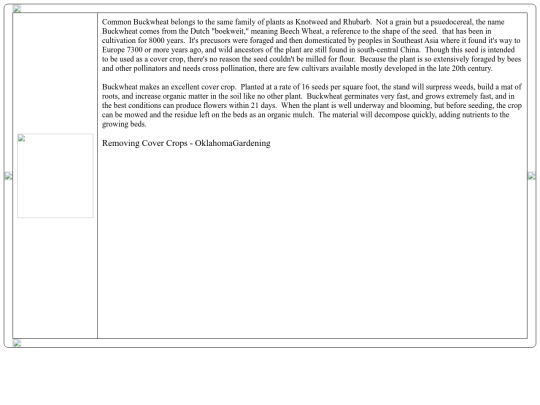 image/R_Dodson/tillage/buckwheat/buckwheat screenshot