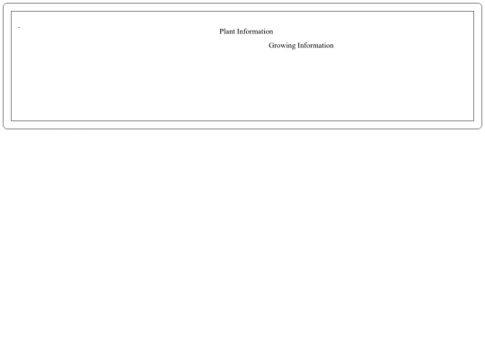image/web/BonanzaSkeleton screenshot