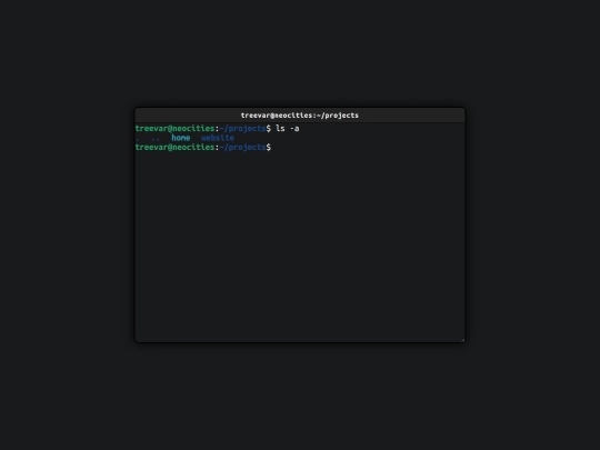 projects screenshot