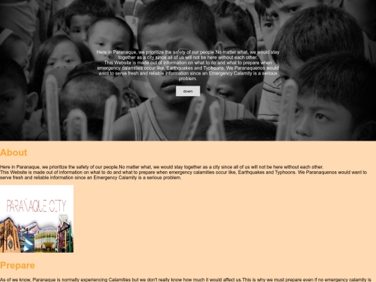 rayne screenshot