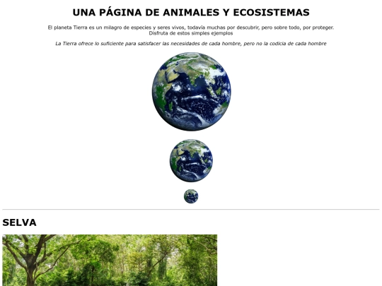 Ej05/Ejercicio05 screenshot
