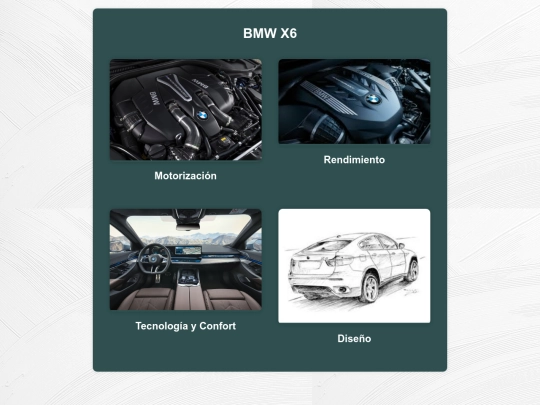 proyecto/bmw screenshot