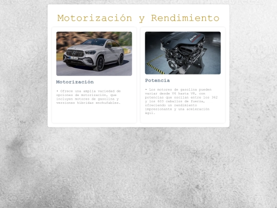 proyecto/motorizaciongle screenshot